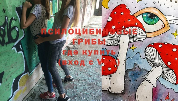 МДПВ Строитель